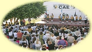 Informe Digital