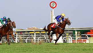 hipodromo.jpg