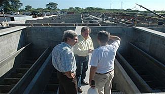 solanasplantadeagua.jpg