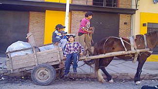 Informe Digital