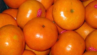 mandarinascitrus.jpg