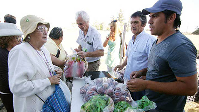 Informe Digital