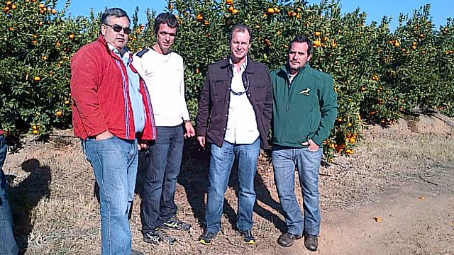 Informe Digital