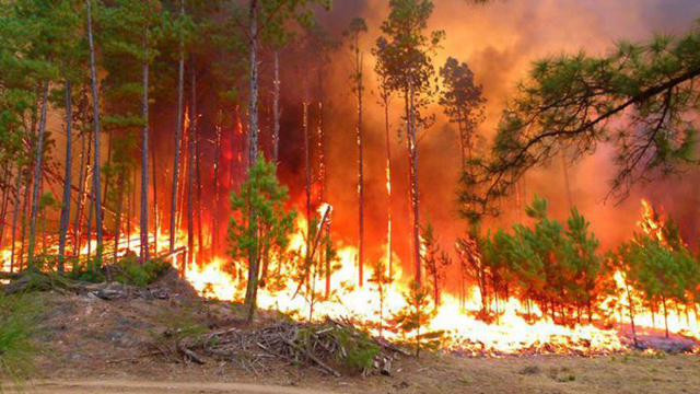 IncendioCordobaSanLuis20130912.jpg