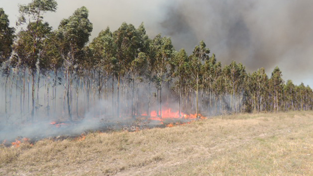 IncendisoChajari20130912.jpg
