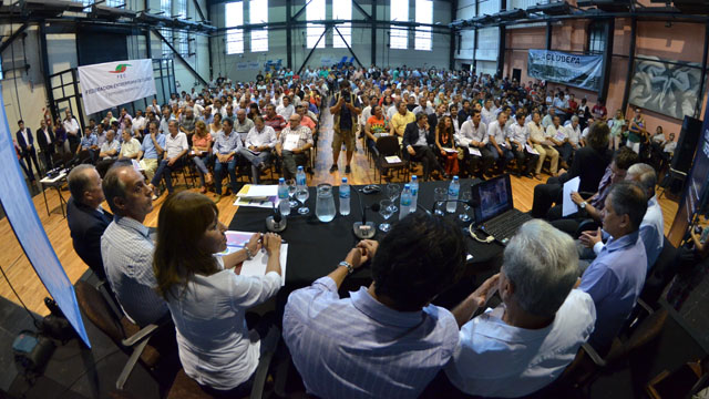 LeydelDeporteOsunaSolanasBaezLauritto201450413.jpg