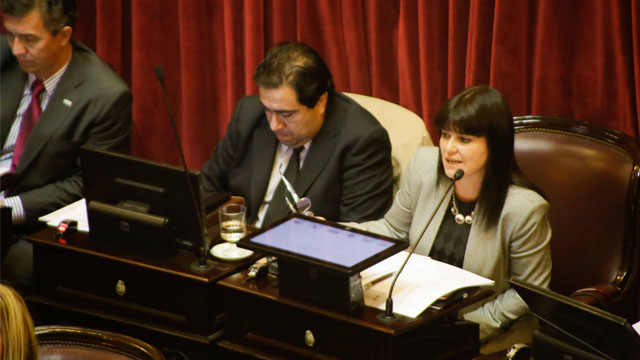 KunathSenado20150527.jpg