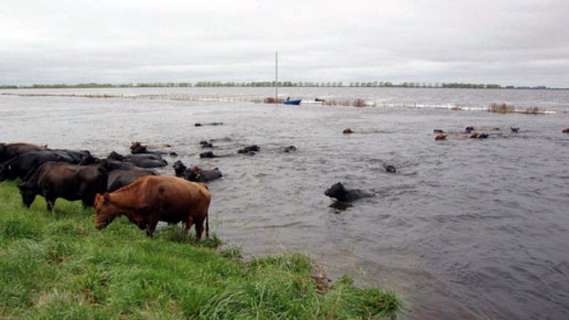 EmergenciaAgropecuariaInundacionesCampo.jpg