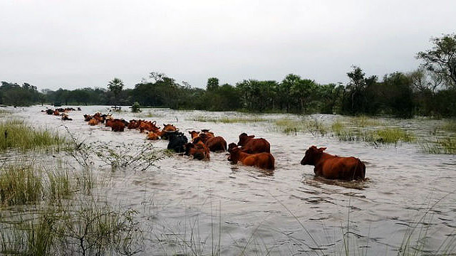 InundacionIslas4.jpg