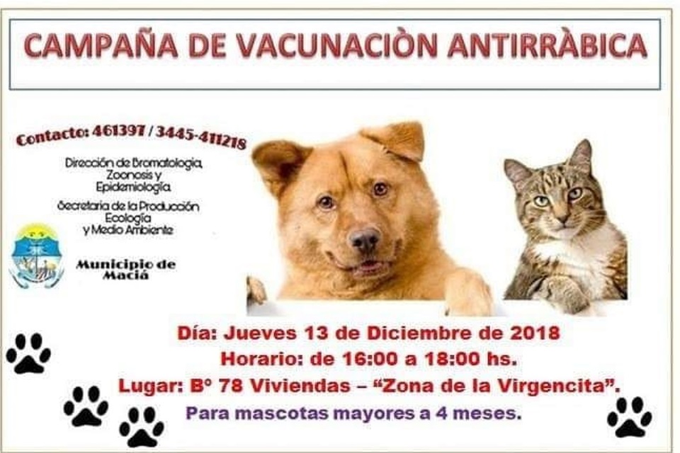 Vacunación Antirrábica