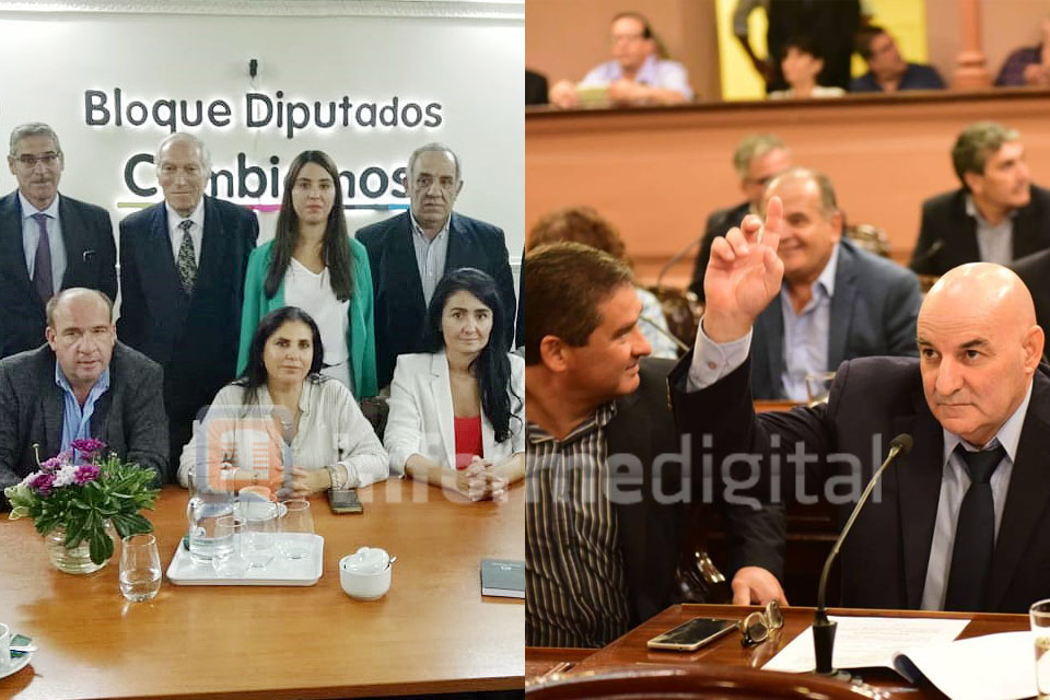 Informe Digital