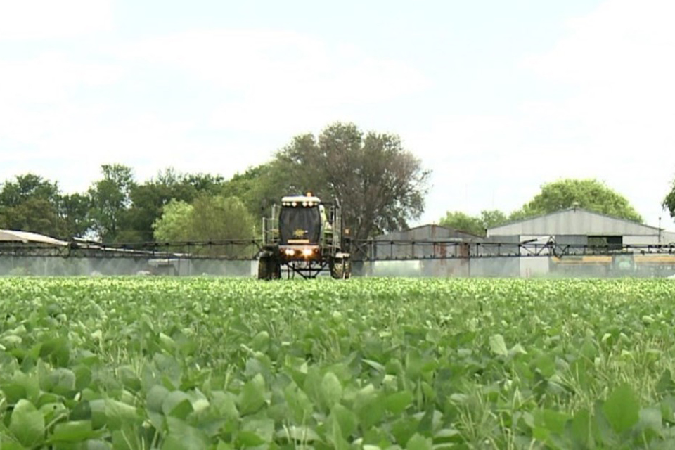 campofumigacionesagroquimicos