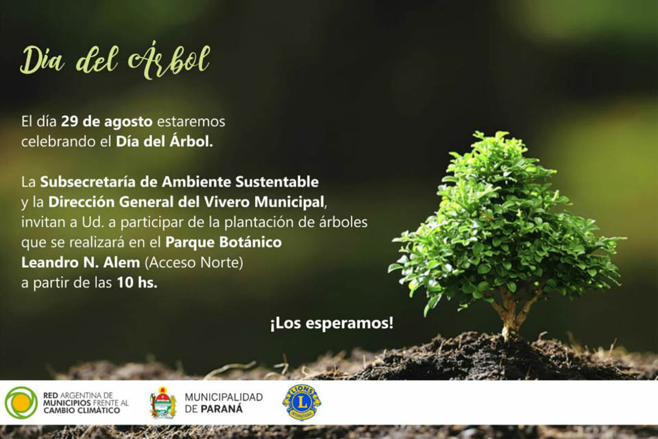 Plantan árboles