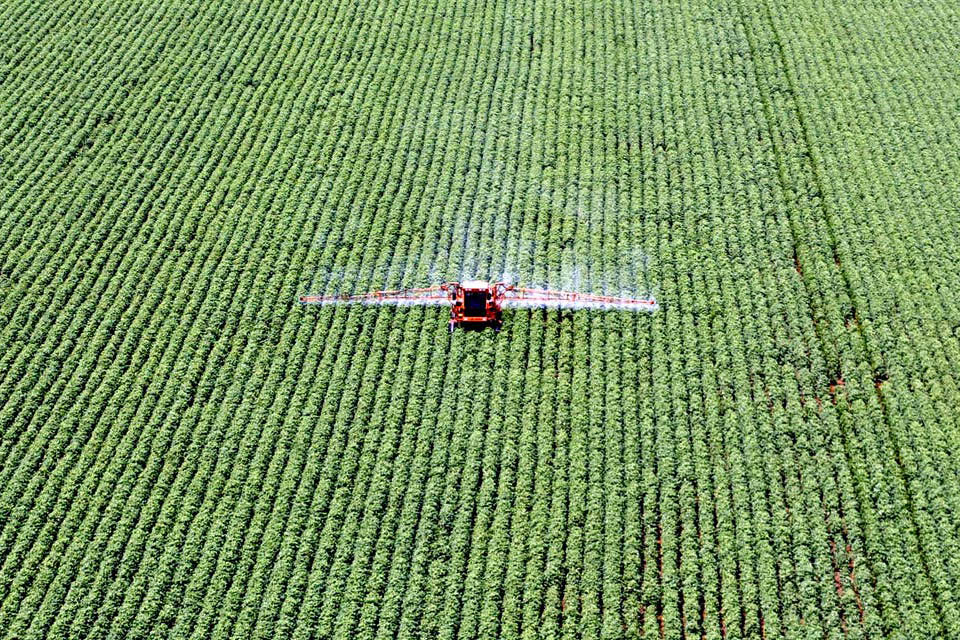 CampoFumigacionesAgroquimicosSiembra