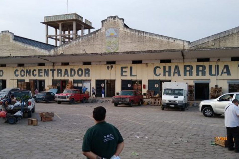 MercadoElCharrua