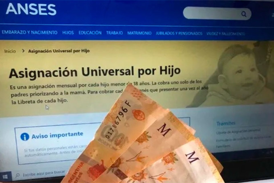 anses asignacion universal hijo