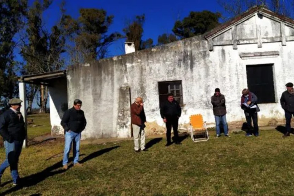 campo yedro colonia productiva