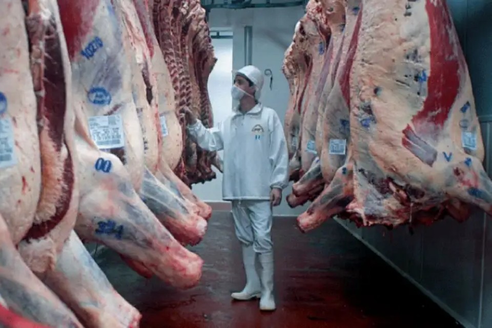 exportacion carne