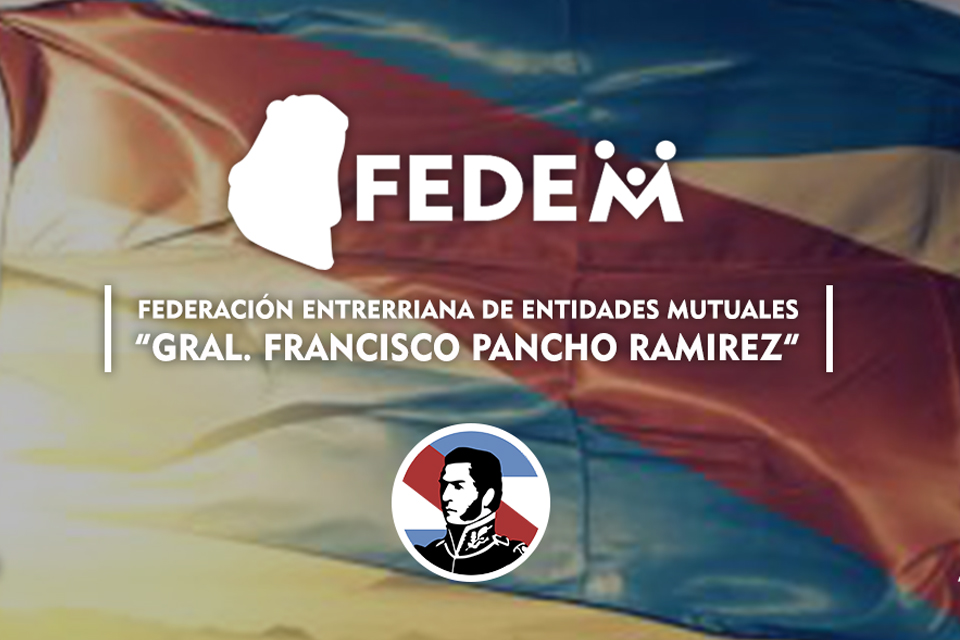 ¿Qué es FEDEM?