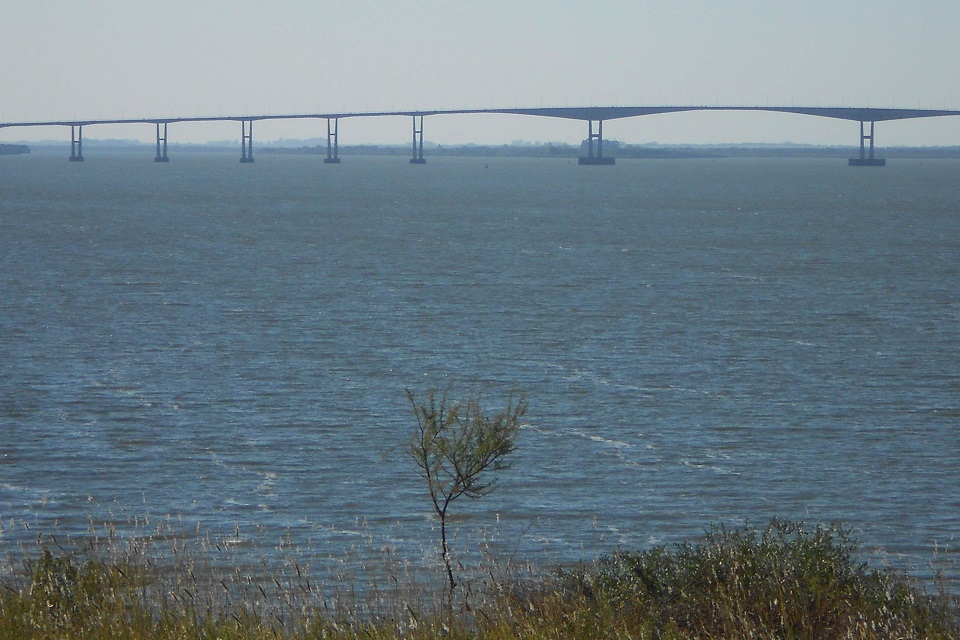 rio uruguay puente-san-martin