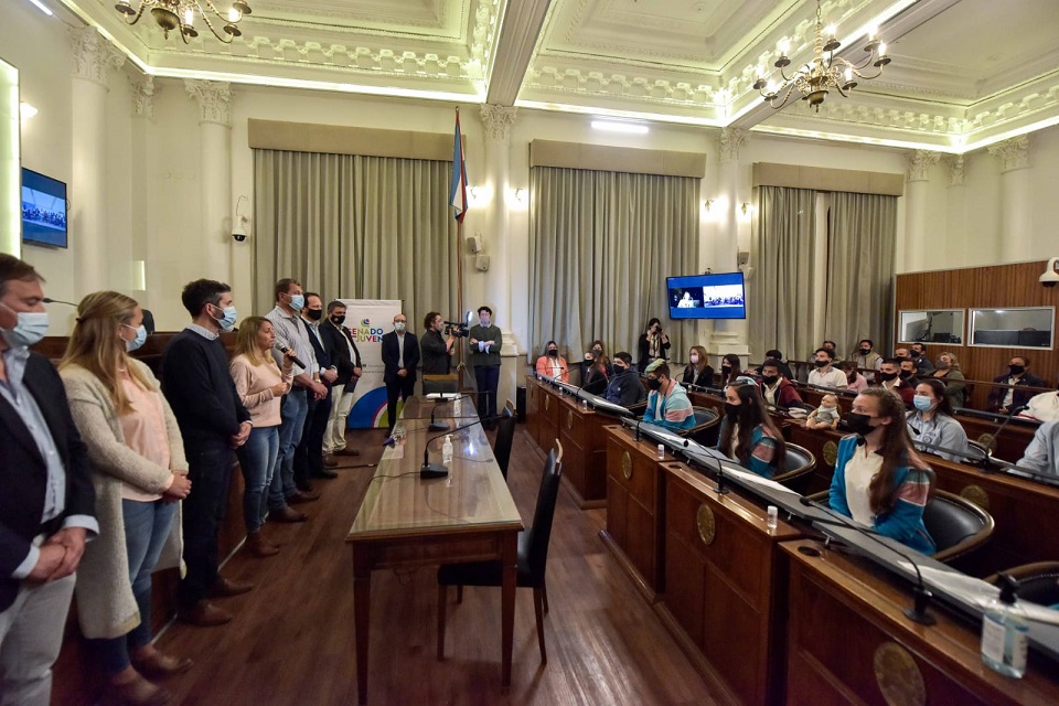 senado juvenil stratta