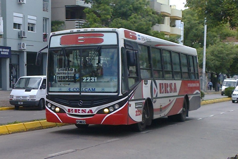 colectivos