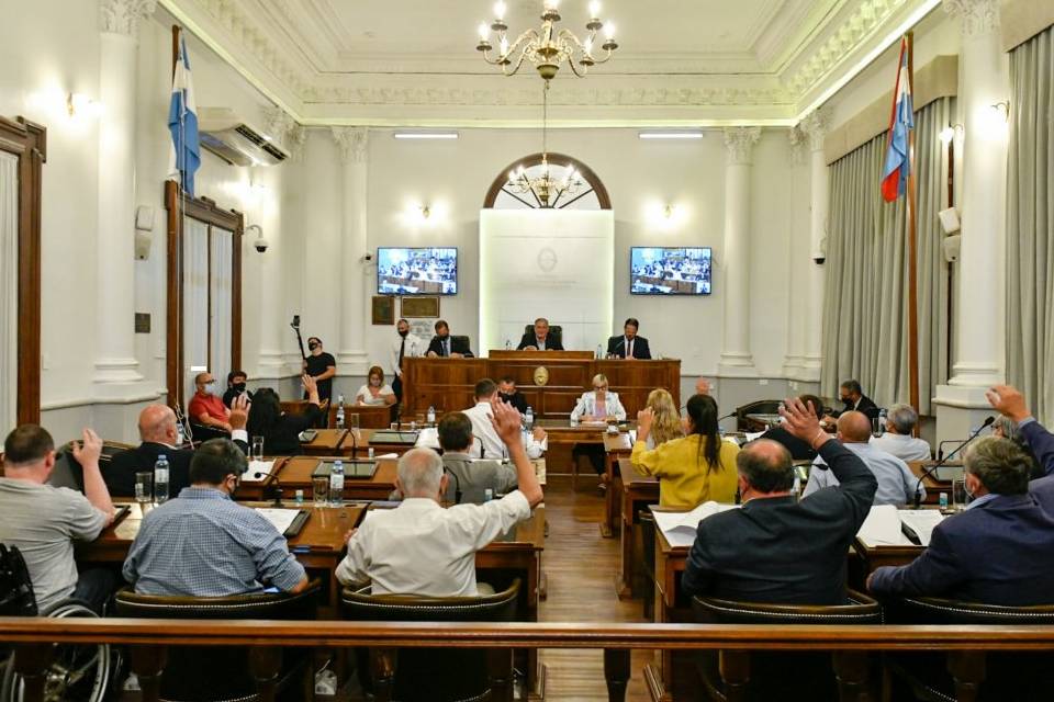 senado