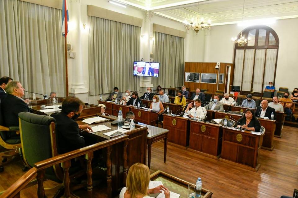 senado