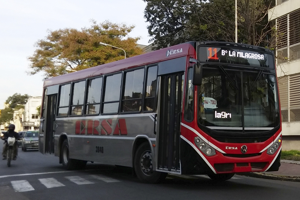 colectivos