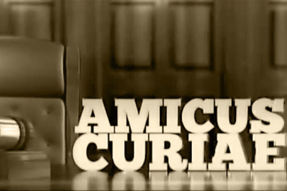 ¿Qué es la figura del Amicus Curiae?