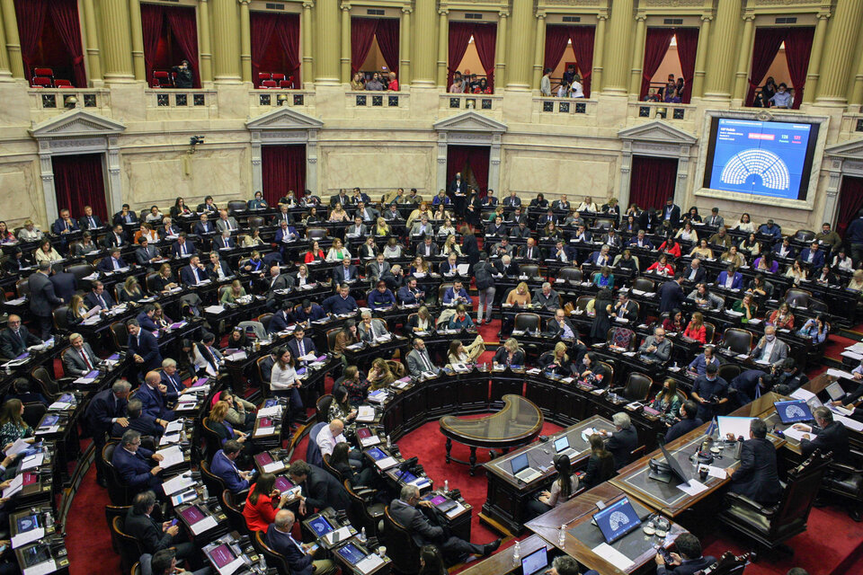 diputados 