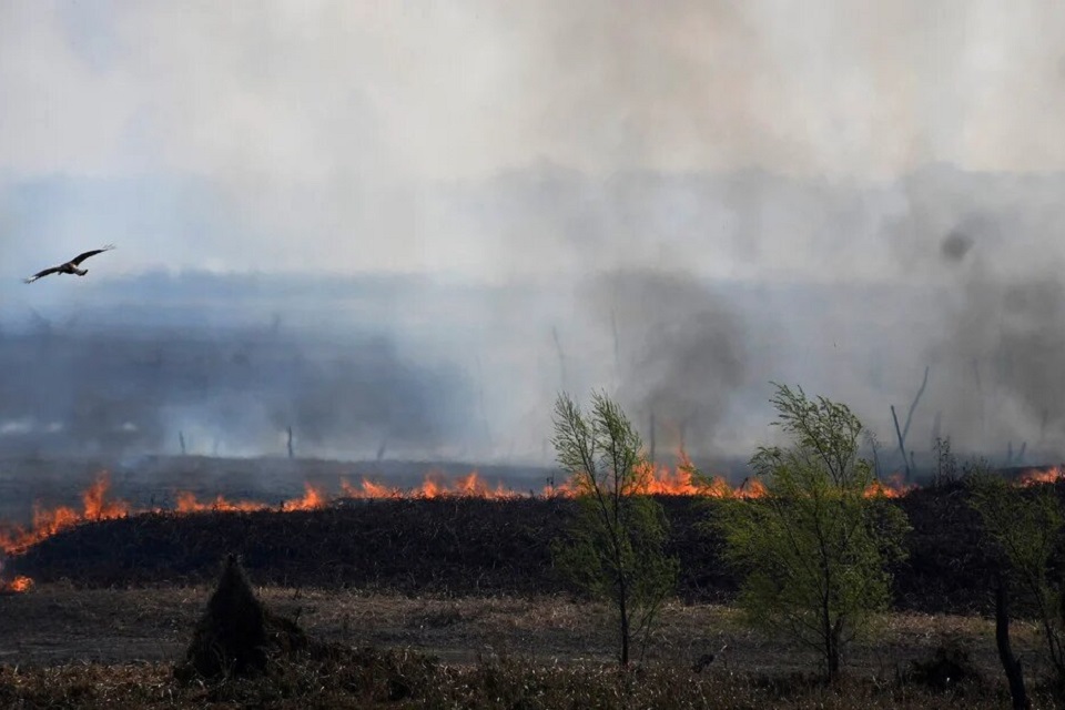 islas quema delta incendios