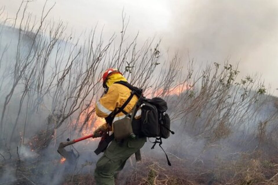 incendios quema delta islas ecocidio