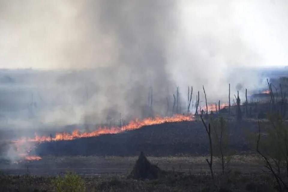 incendio-rosario quema islas delta ecocidio