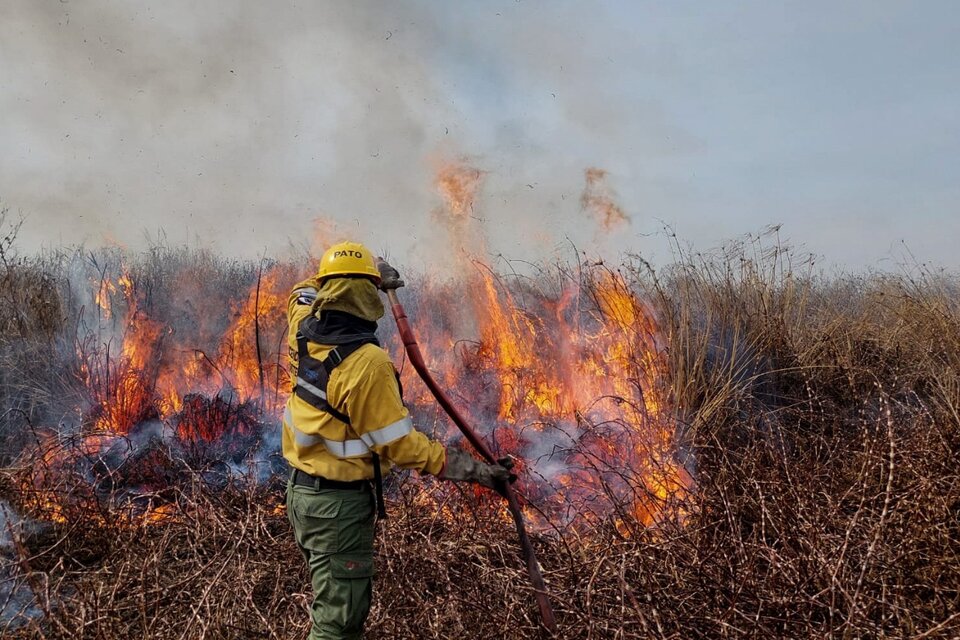 quema incendios humedales delta