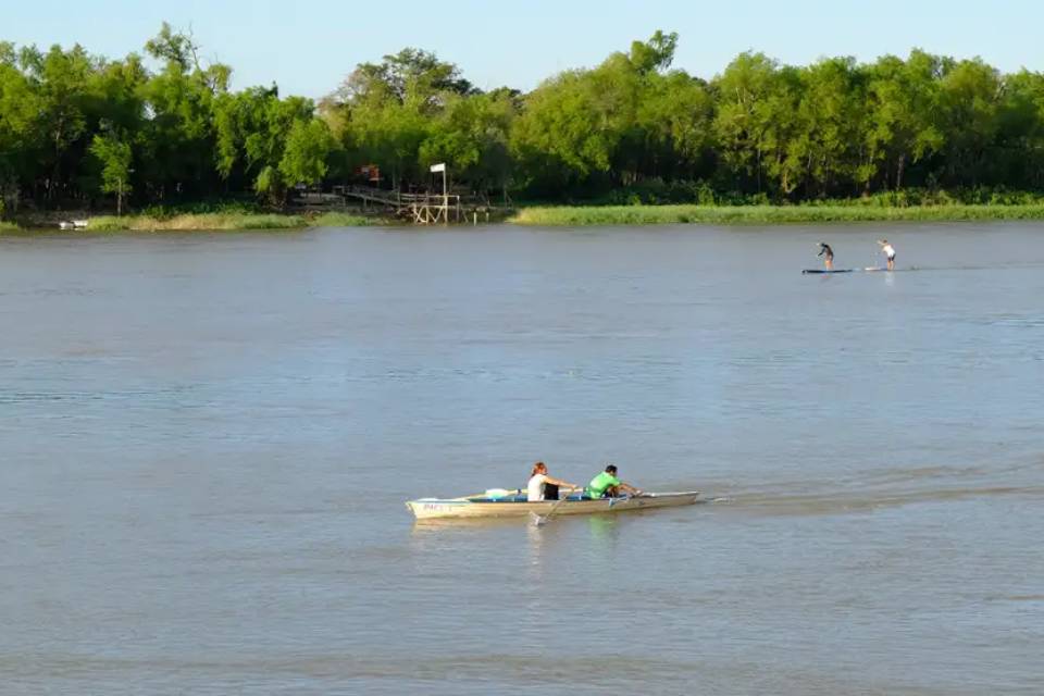 paraná curupí