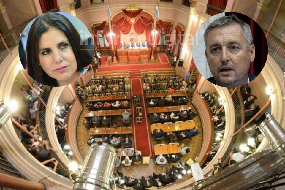 lena hein diputados 