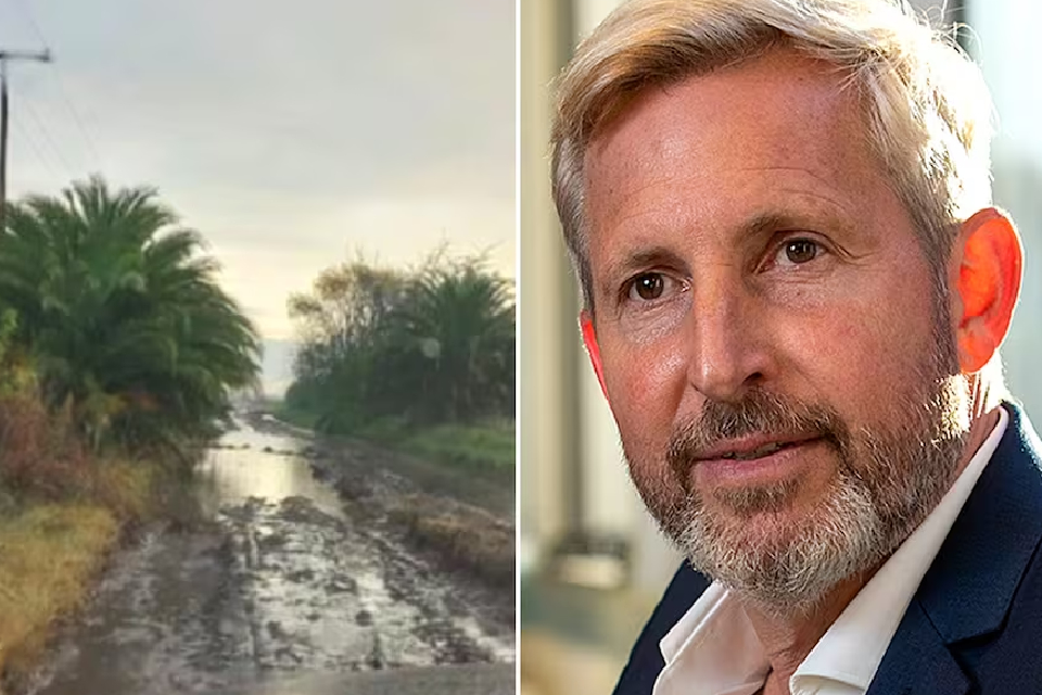 FrigerioCaminos