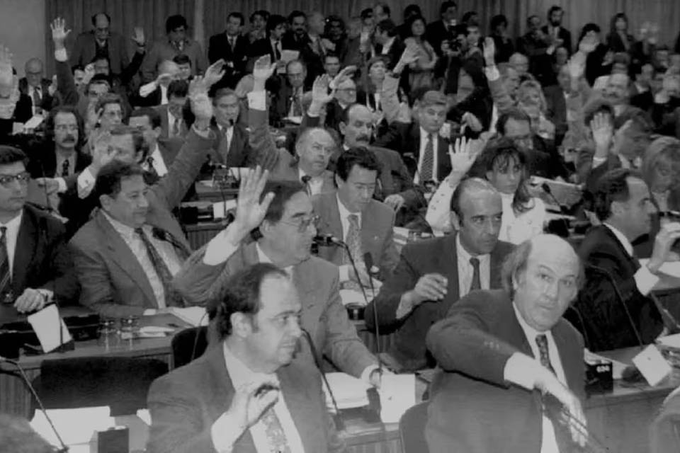 constituyentes convencion