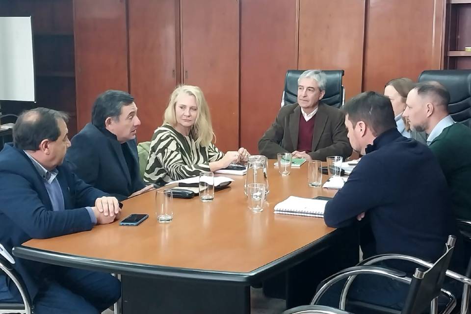 Informe Digital