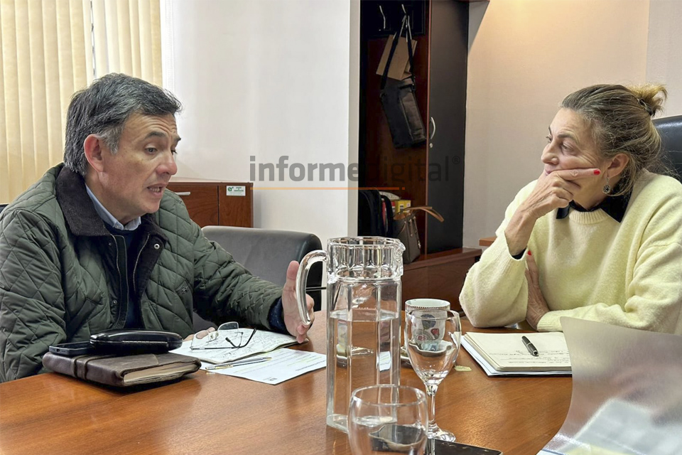 Informe Digital