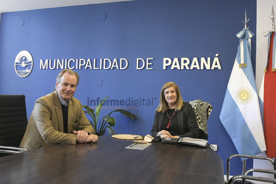 Informe Digital
