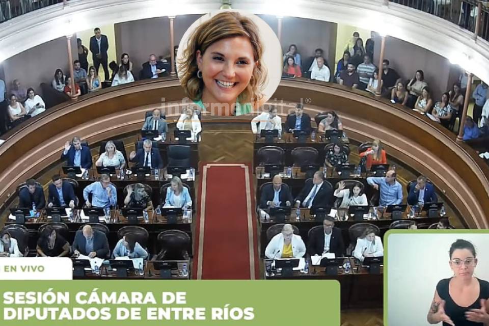 Informe Digital