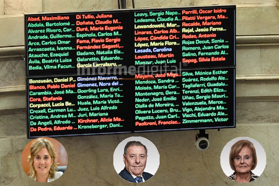 El senado eliminó las PASO.