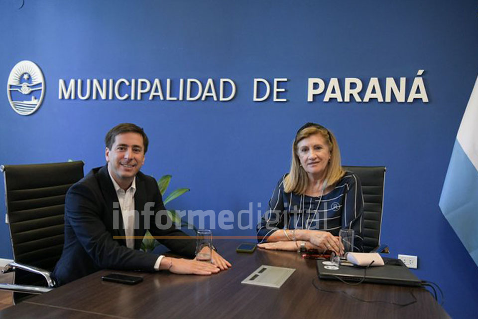 Informe Digital